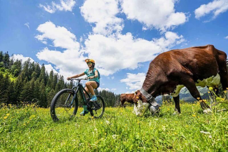 The 5 Most Beautiful Ebike Routes in The French Alps